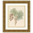 thumbnail image 1 of Clemenz Heinrich Wehdemann 20x24 Gold Ornate Framed and Double Matted Museum Art Print Titled - Phoenix (Phoenix Reclinata) (1817), 1 of 4