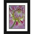 thumbnail image 1 of Clemons, Kathleen 11x14 Black Ornate Wood Framed with Double Matting Museum Art Print Titled - Maine, Harpswell Close-up of pink dahlia flower, 1 of 4