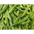 thumbnail image 1 of Clemson Spineless Green Okra/ Annual/ Full Sun/600 Seeds 1 oz / Zellajake Farm and Garden - B51, 1 of 5