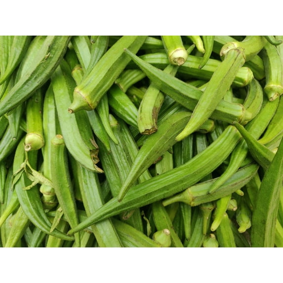Clemson Spineless Green Okra/ Annual/ Full Sun/600 Seeds 1 oz / Zellajake Farm and Garden - B51
