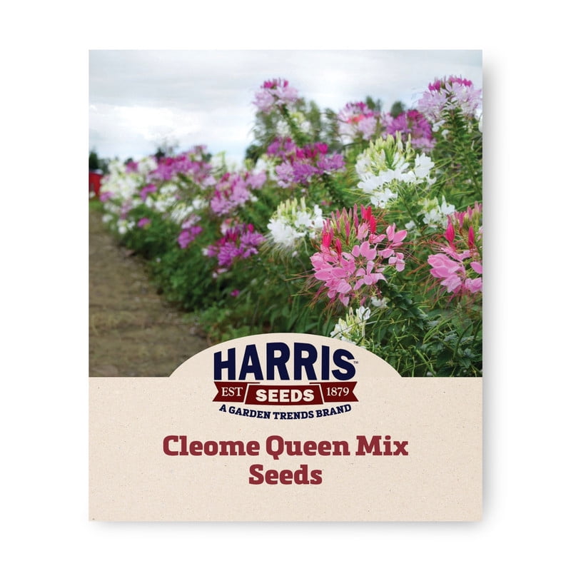 plant fertilizer sticks Houseplant & Flower 5-5-5 Plant Food Spikes (12 Mini Spikes)  The Old  Farmer's Almanac Store