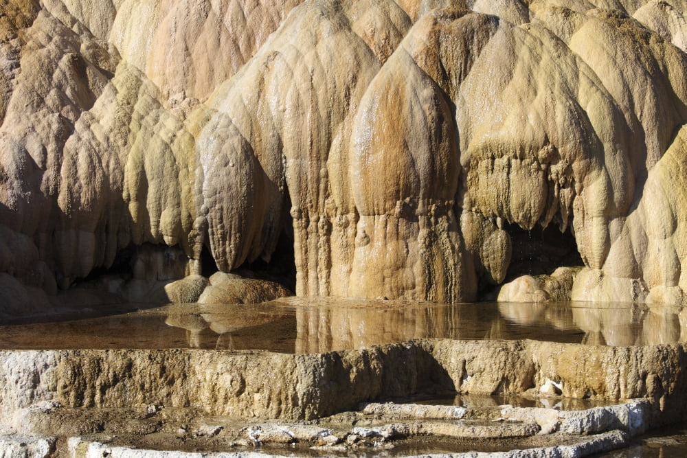 Cleopatra Terrace Mammoth Hot Springs geothermal area Yellowstone National Park Canvas Art - Richard RoscoeStocktrek Images (18 x 12)