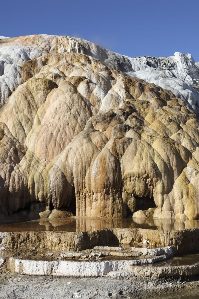 Cleopatra Terrace Mammoth Hot Springs geothermal area Yellowstone National Park Wyoming Canvas Art - Richard RoscoeStocktrek Images (12 x 18)