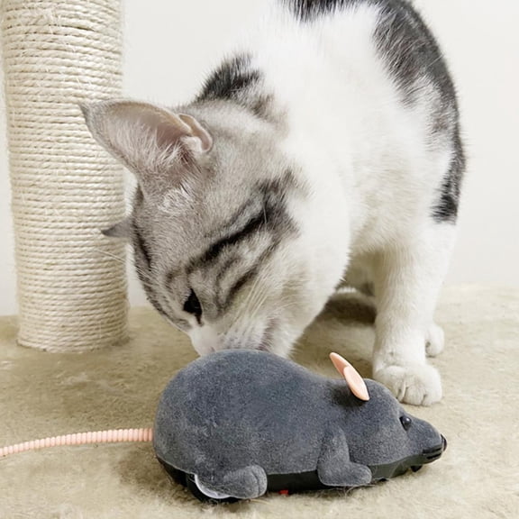 Clerance! PawCasa Funny Remote Control RC Rat Mouse MICE Wireless For Cat Pet 2022 Dog Toys
