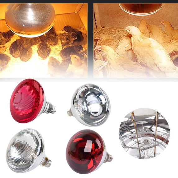 Clerance! PawCasa INFRA RED HEAT BULB LAMP 250W Poultry Chi Brooder Lambs Livest Sell De