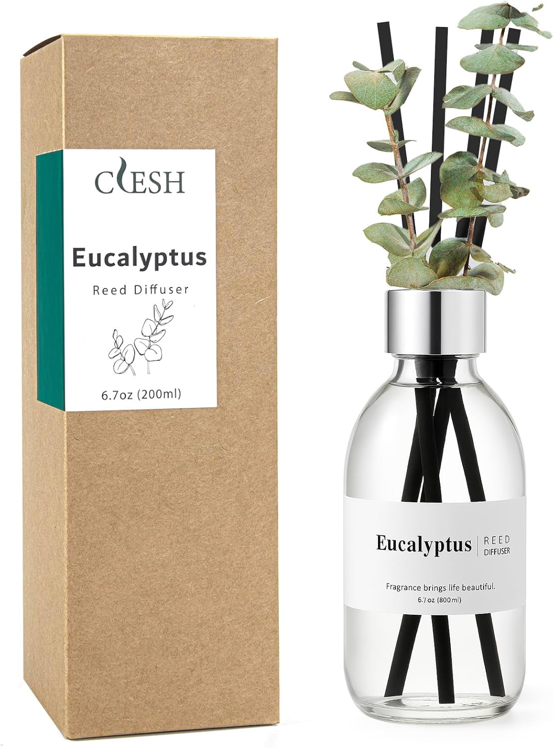 Clp Reed Diffuser Clesh Reed Diffuser Set, 6.7 oz Eucalyptus Scented Diffuser with Sticks ...