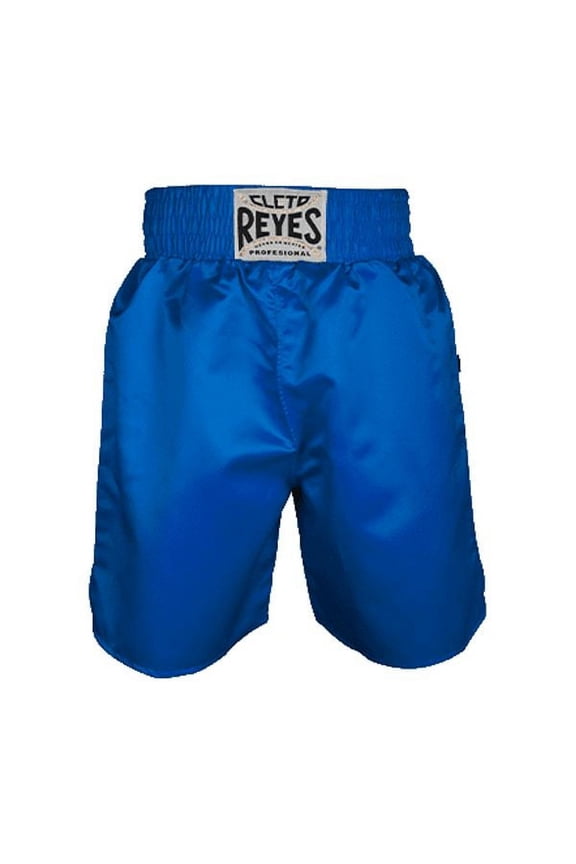 Boxing Trunks for Men (X-Large, Electric Blue)