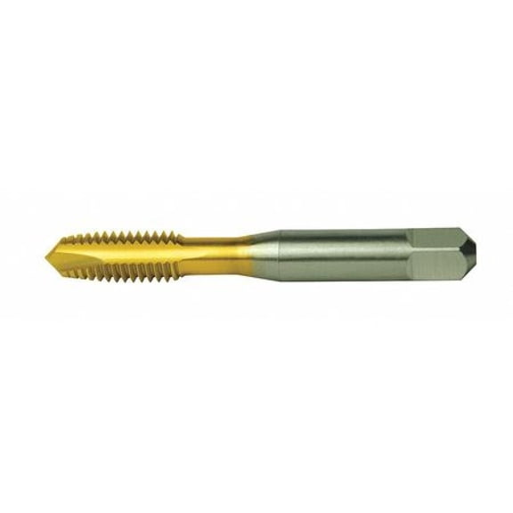 CLEVELAND C55312 Spiral Point Tap, #12-24, Plug, UNC, 2 Flutes