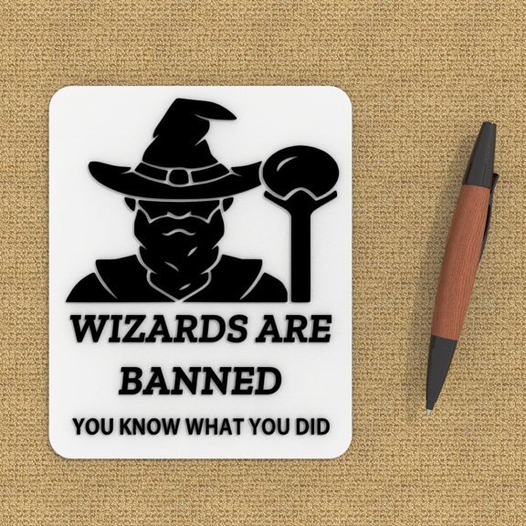 | Funny Sign - Lizards Are Prohibited, You Know What You Did | Wall Decor (Black)