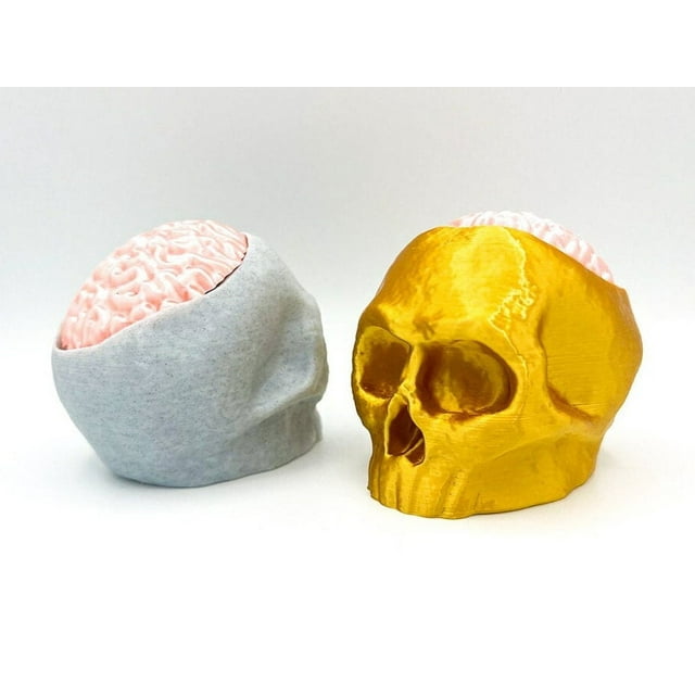 Clever Contraption Skull Container with Removable Brain Lid – Secret Storage Statue for Keys or Candies, PLA Plastic