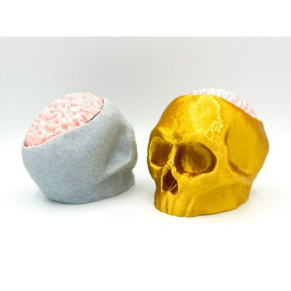 Clever Contraption Skull Container with Removable Brain Lid – Secret Storage Statue for Keys or Candies, PLA Plastic