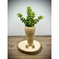 thumbnail image 1 of Clever Contraption Small Carrot Succulent and Cactus Planter Pot – 3D Printed, 1 of 9