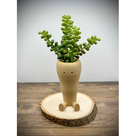 Clever Contraption Small Carrot Succulent and Cactus Planter Pot – 3D Printed