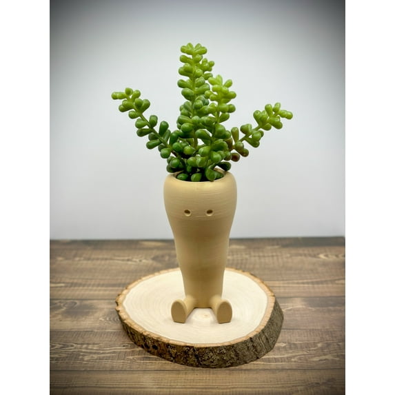 Clever Contraptions Carrot Succulent & Cactus Planter Pot – Small