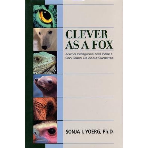 Pre-Owned Clever As a Fox : Animal Intelligence And What It Can Teach Us About Ourselves (Hardcover) 158234115X 9781582341156