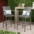 Clevertine Outdoor Wicker Barstools, Set of 2, Grey
