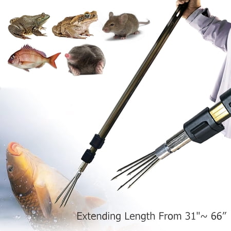 Clianle Outdoor Adjustable Length Fishing Harpoon, Used As A Trap Catching Tool for Amphibians Such As Pythons, Frogs, Toads, Flounders, Moles, Etc