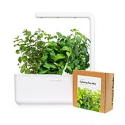 Click & Grow Indoor Herbal Tea Gardening Kit | Smart Garden 3 with Grow Light and 12 Plant Pods