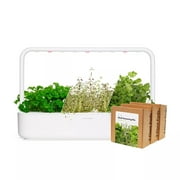 Click & Grow Indoor Steak Seasoning Gardening Kit | Smart Garden 9 with Grow Light and 36 Plant Pods
