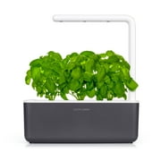 Click and Grow Smart Garden 3 Indoor Gardening System | Easier than Hydroponics System | Grow an Indoor Herb Garden | Includes 3 Basil Plant Pods | Grey