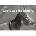 thumbnail image 1 of Click, Said the Camera, (Spiral-Bound), 1 of 1