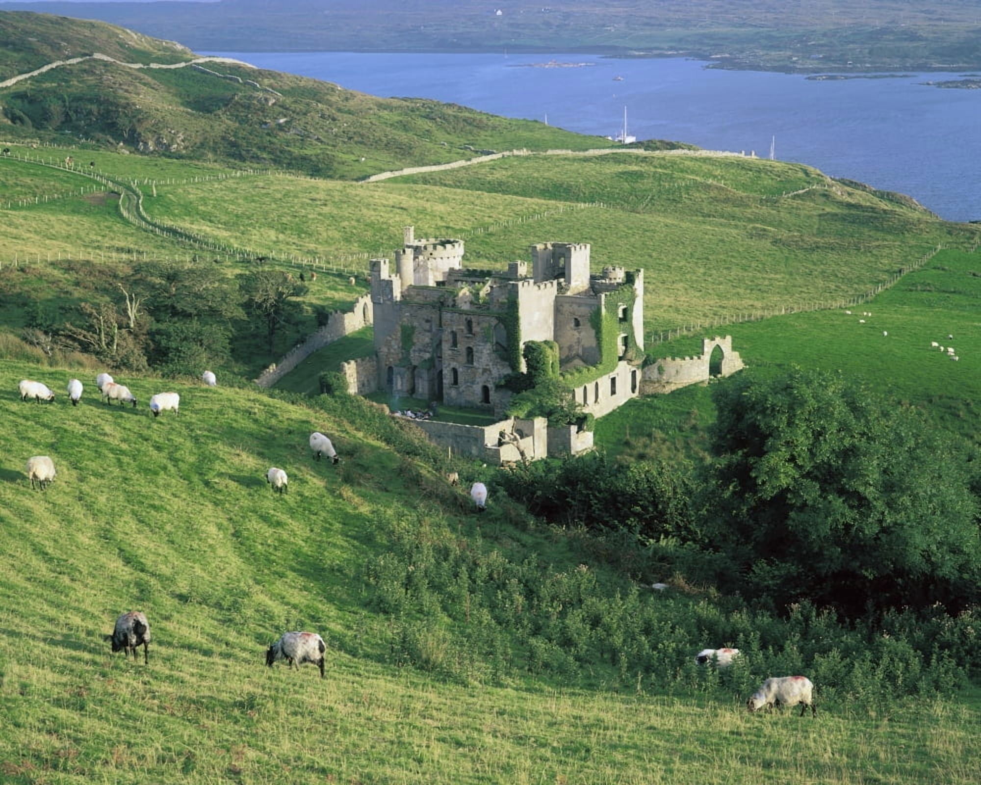 Clifden Castle Co Galway Ireland 19Th Century Gothic Revival Style Castle Canvas Art - The Irish Image Collection Design Pics (17 x 13)