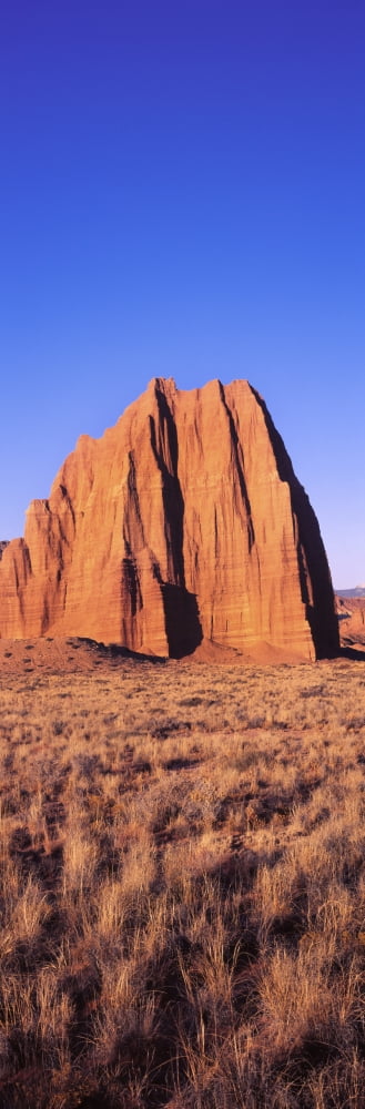 Cliff in Capitol Reef National Park against blue sky Utah USA Canvas Art - Panoramic Images (36 x 12)