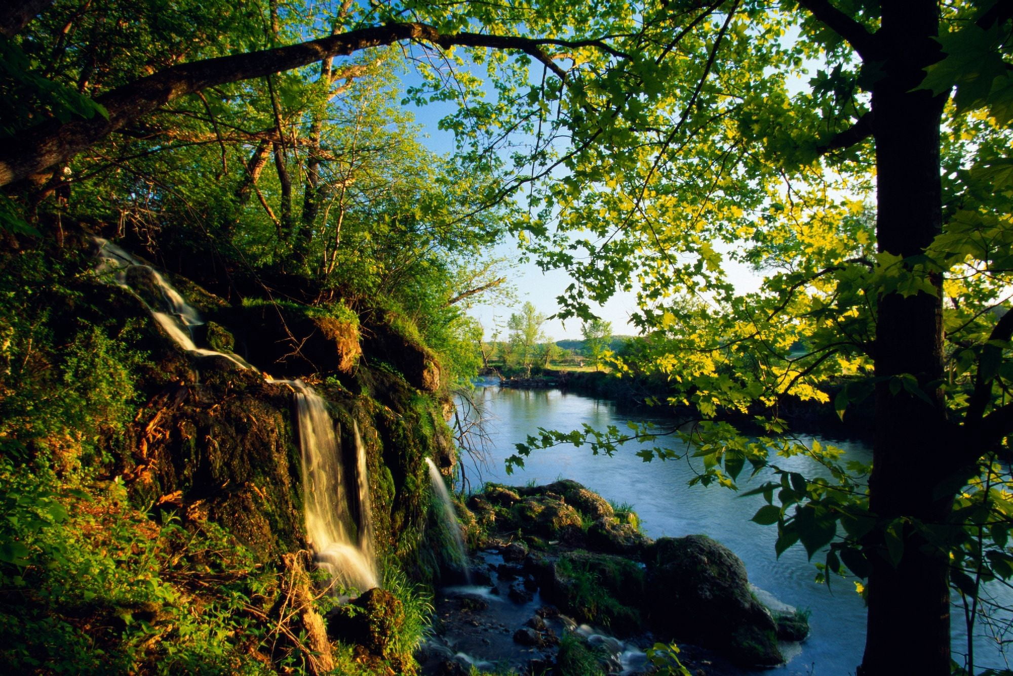 Cliffs and trees along Malanaphy Springs Malanaphy Springs State Preserve Iowa USA Canvas Art - Panoramic Images (27 x 9)