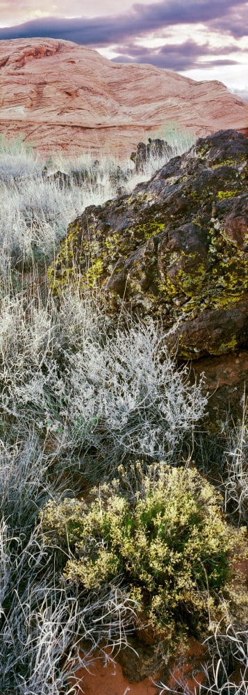 Cliffs in Snow Canyon State Park Washington County Utah USA Canvas Art - Panoramic Images (27 x 9)