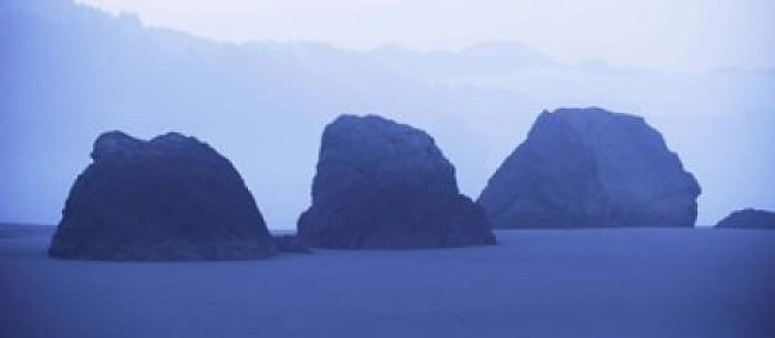 Cliffs on the coast at dawn Meyers Creek Cape Sebastian Coast of California USA Canvas Art - Panoramic Images (15 x 7)