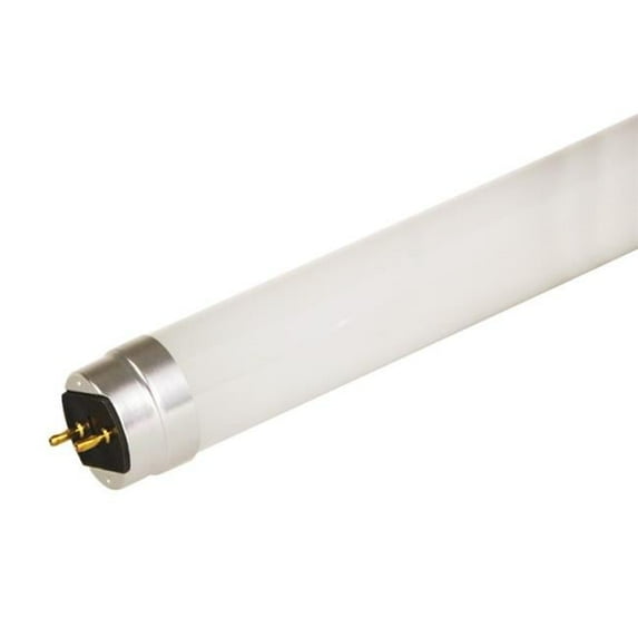 Climatic Home Products 93107510 48 in. LED14ET8G4 & 850CT GE LED Bulb - Pack of 20