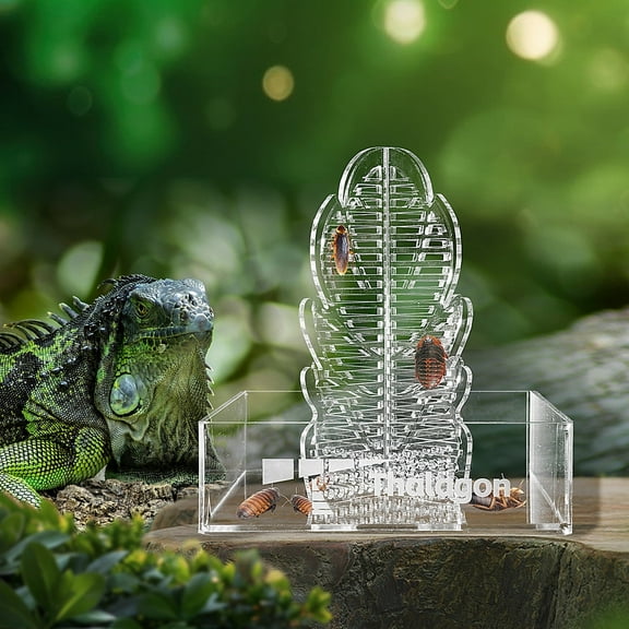Climbable Chameleon Feeder Bowl with Dubia Roach Organizer Column Large Acrylic Insect Feeding Dish for Bearded Dragons, Geckos, Frogs Reptile Terrarium Accessory