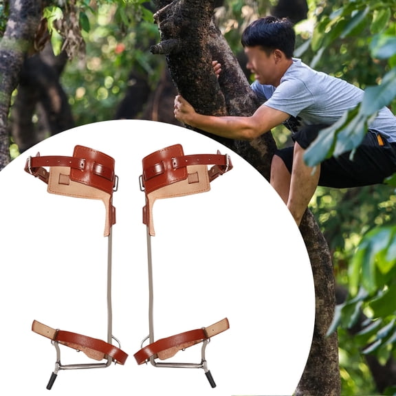Climber Strap Gaffs Adjustable Tree Climbing Spike Sets Pole Climbing Spurs Tool
