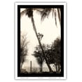 thumbnail image 1 of Climbing for Coconuts - Lahaina Hawaii USA - Vintage Hawaiian Real Photo Postcard by Ray Jerome Baker c.1908 - Master Art Print (Unframed) 12in x 18in, 1 of 4