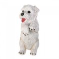 thumbnail image 1 of Climbing Cutie White Terrier &amp;#34;aspen&amp;#34; Pup, 1 of 2