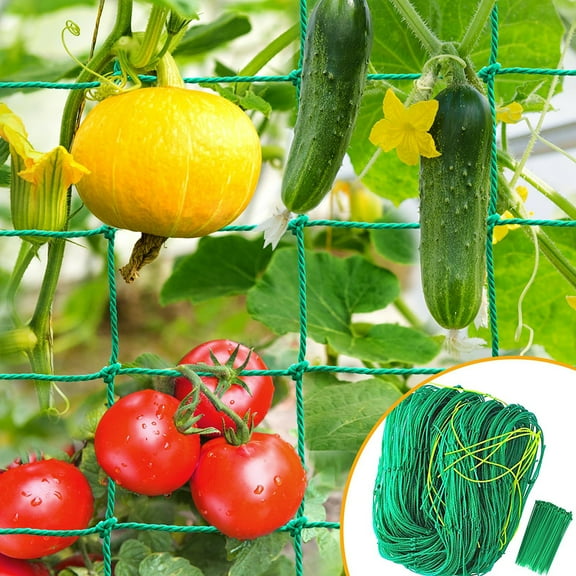 Climbing Garden Trellis - Heavy Duty Garden Netting for Climbing Plants - Trellis Netting for Cucumbers, Vines, Fruits, Durable Nylon Plant Support Trellis - Easy to Install/5.9x3 FT (2PCS)