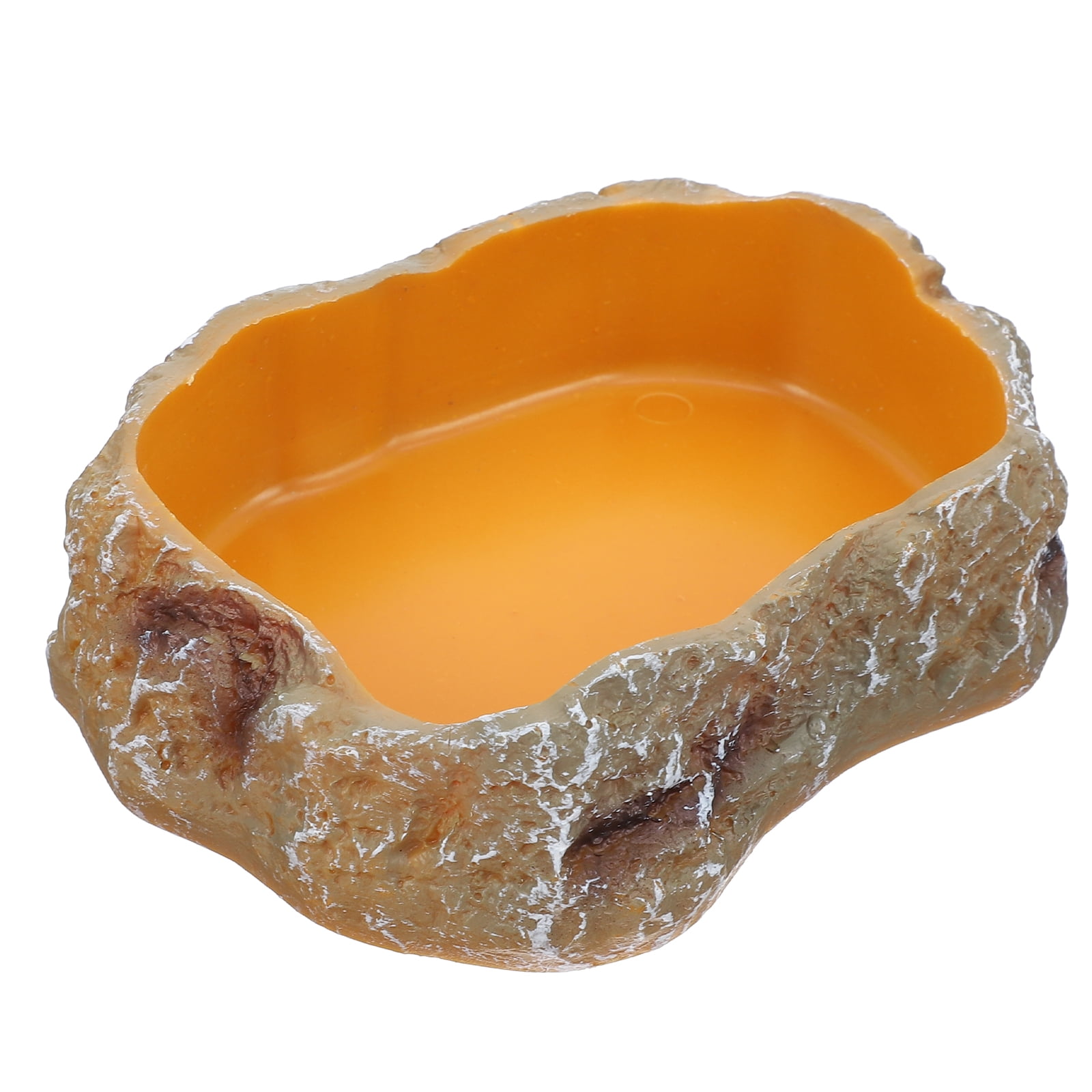 Climbing Pet Food Bowl Lizards Animal Bearded Dragon Accessories for Tank Terrarium Reptile