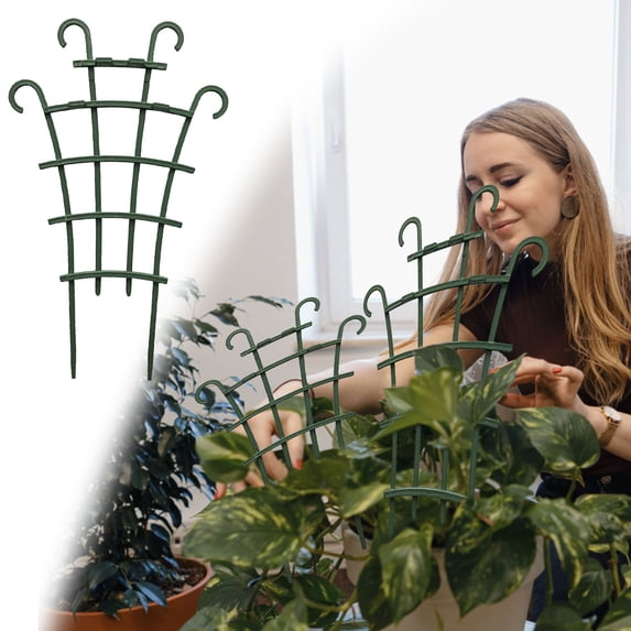 Climbing Plant Support Cage Trellis Set, Non-Slip Iron Garden Stake Frame for Potted Vines, Orchids, Monstera and Small Tomatoes