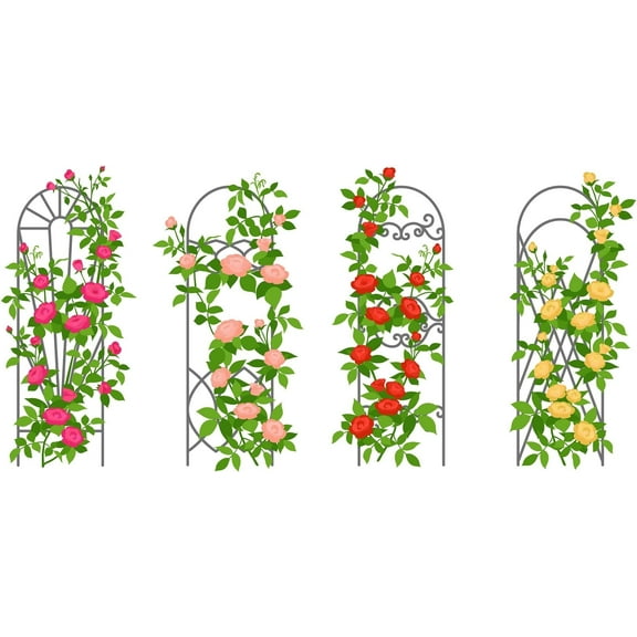 Climbing Rose Vine Seeds - 30+ Seeds for Planting