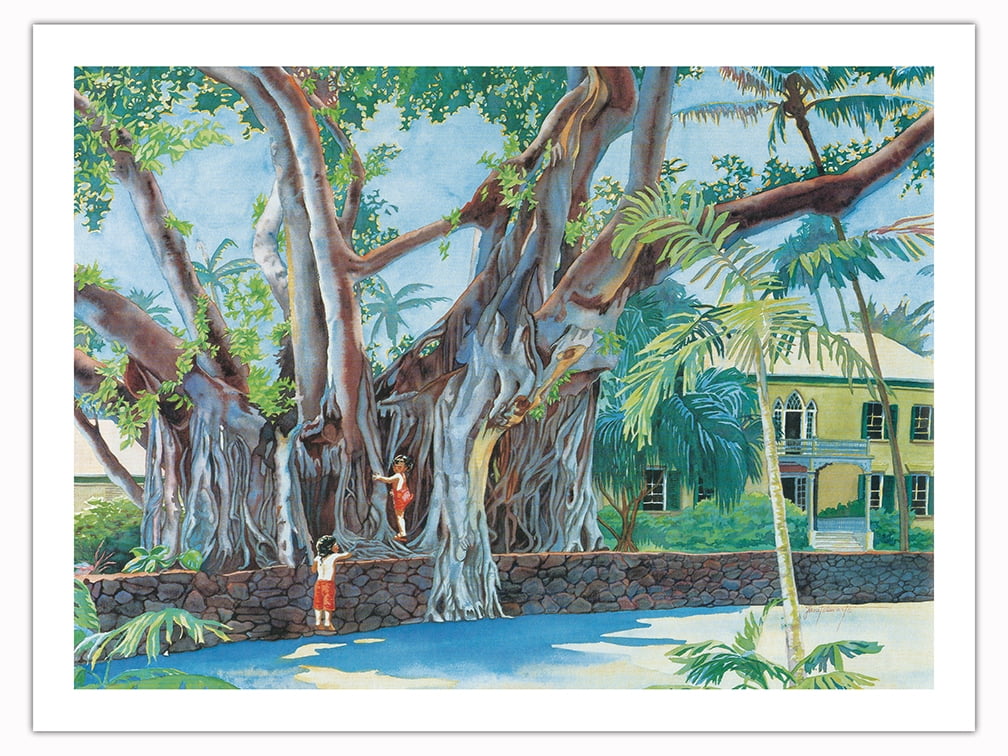 Climbing the Royal Banyan Tree (E E Ka Panaiana) Hulihe‘e Palace