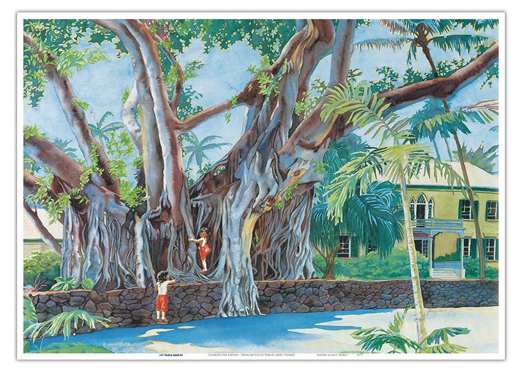 Climbing the Royal Banyan Tree (E E Ka Panaiana) Hulihe‘e Palace