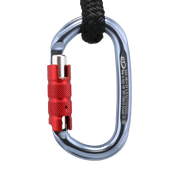 Climbing Technology Oval Carabiner