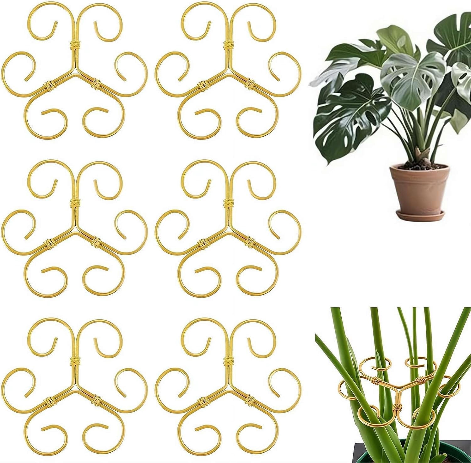 ClimbingPlant Supports Plants Trellis PlantSupport for Indoor Plants ...