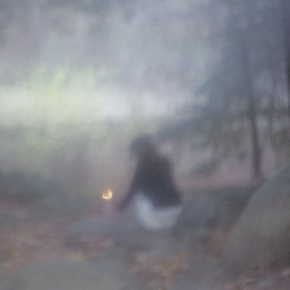 Clinic Stars - Only Hinting - Music & Performance - Vinyl