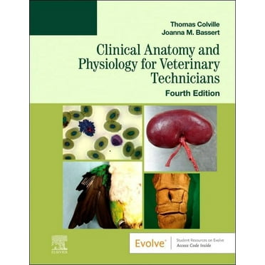 Pre-Owned Clinical Anatomy and Physiology for Veterinary Technicians