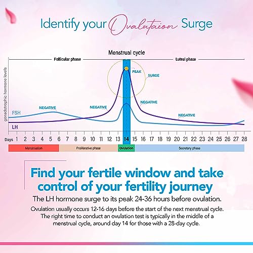 Clinical Guard 100 Ovulation Test Strips and 20 Early Pregnancy Test