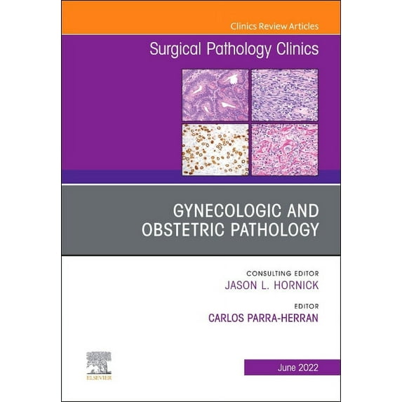 Clinics: Internal Medicine Gynecologic and Obstetric Pathology, an Issue of Surgical Pathology Clinics: Volume 15-2, Book 15, (Hardcover)