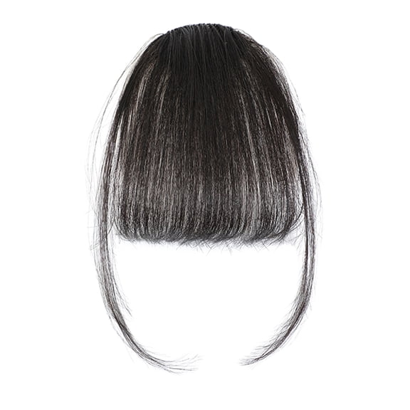 Clip in Bangs Real Hair - 2024 New Wispy Real Hair Bangs Clip in Human Hair, Fringe Curtain Bangs Hair Clip on Wiggy Front Hair Pieces for Women, Lace Front Bangs Clip in Hair Extensions
