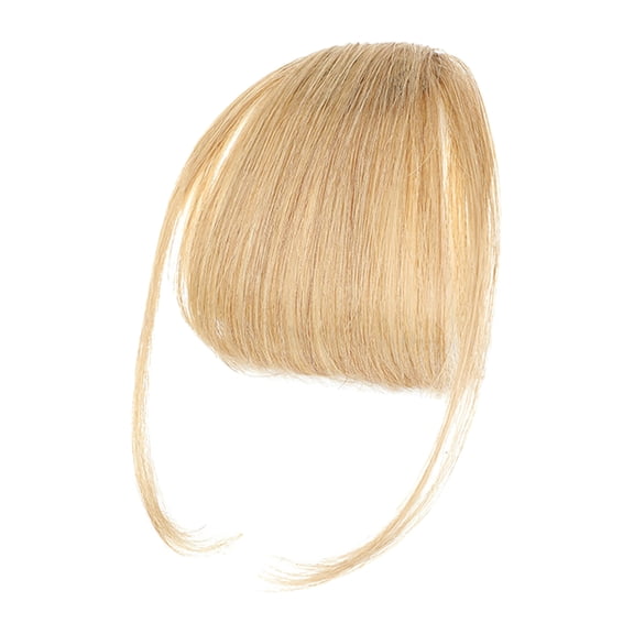 Clip in Bangs Real Hair - 2024 New Wispy Real Hair Bangs Clip in Human Hair, Fringe Curtain Bangs Hair Clip on Wiggy Front Hair Pieces for Women, Lace Front Bangs Clip in Hair Extensions