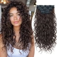thumbnail image 1 of Clip in Hair Extensions, 4 count 20 inch Curly Hair Extensions Short Soft  Hairpiece Lace Weft Curly Wave Clip Ins Extensions Invisible for Women,Dark  Brown, 1 of 6